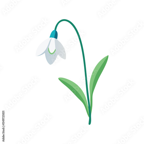Snowdrop flower flat minimal vector illustration, simple spring bloom, elegant botanical design element

