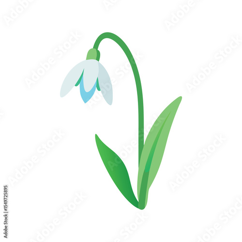 Snowdrop flower flat minimal vector illustration, simple spring bloom, elegant botanical design element

