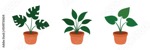  A set of houseplants with big green leaves in terracotta pots on a white background. Illustration of monstera, spatifilum, and philodendron. Concepts of indoor gardening, home decor, and plant care.