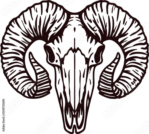 Detailed vintage illustration of ram skull with large curled horns in monochrome engraved on white background
