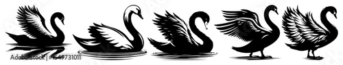 graceful swans set silhouette laser cutting black vector