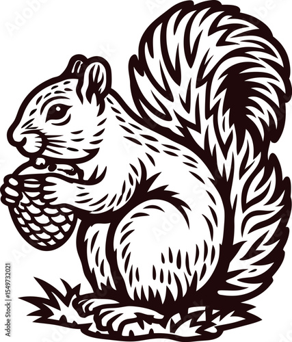 Black and white vintage engraved drawing of a squirrel holding an acorn with bushy tail isolated