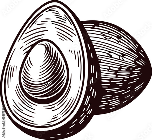 Hand drawn illustration of halved avocado with pit isolated on white background
