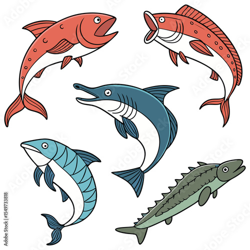Dorado Fish in Fast Motion,salmon fish,Barracuda Fish Vintage,Yellowfin Tuna Fish,Cute Salmon animal Illustration vector design