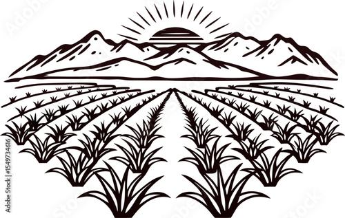 Hand drawn sunrise over agricultural field with mountains vintage rural landscape illustration