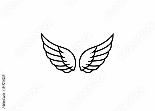 Realistic wings on transparent background