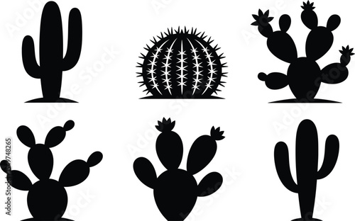 Silhouette vector illustration of different cactus types including saguaro, barrel, and prickly pear varieties