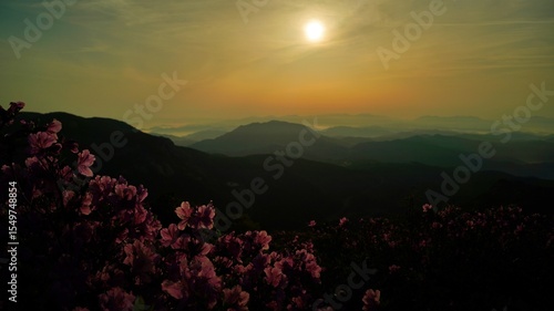Wallpaper Mural Beautiful mountain ridge and sunrise scenery in Korea Torontodigital.ca