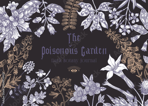 Poisonous plants background. Witch herbs banner design. Vintage apothecary frame template. Hand drawn vector illustration on chalkboard. NOT AI generated