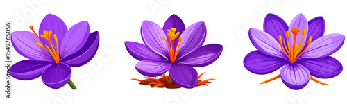 Stylized Saffron Flower Illustration with Bold Colors and Simplified Shapes Transparent Background PNG