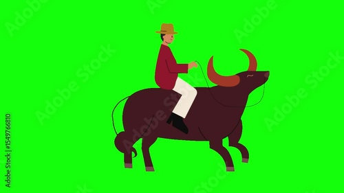 Man Riding Bull – Rodeo Cartoon on Green Screen