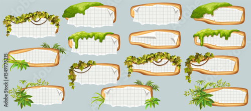 Wooden signboards with old paper, stems ivy, liana, grapes, vine, swamp moss, forest lichen. Set isolated wooden elements with blank, with ragged square graph paper, school math sheet. 