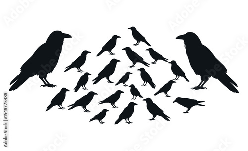 Large Collection of Black Birds in Various Perching Poses, Ominous Nature on White Background