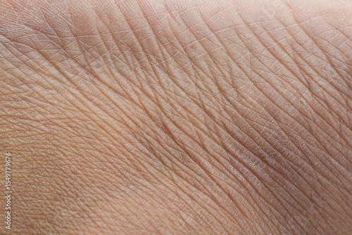 Photography Human skin close up macro,Human skin close up