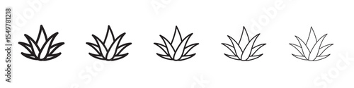 aloe vera icon vector illustration isolated