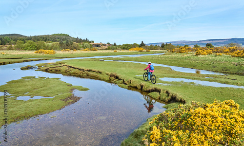 active senior woman riding her electric mountain bike between blooming gorse in the wetlands of the Isle of Mull in Scotland, UK
