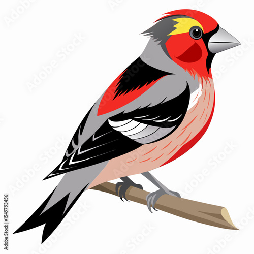 Carduelis Citrinella Vector Illustration – Stylized European Finch in Natural Pose