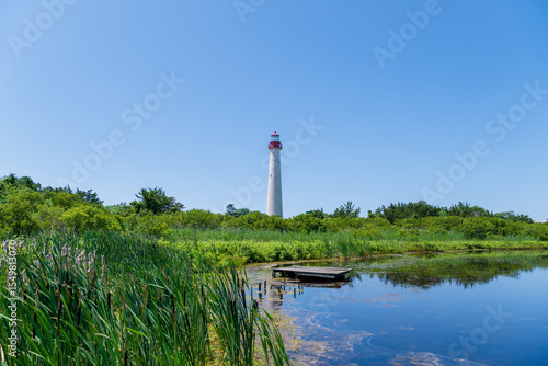 The tall Cape May lighthouse stands prominently against a clear blue sky, surrounded by lush greenery and a calm body of water. The serene landscape includes reeds and a small wooden platform.