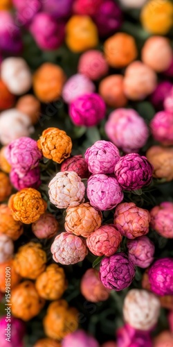 Vibrant Close-Up of Colorful Flowers in a Soft Focus Background