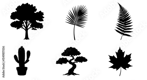 Traditional Bonsai Tree