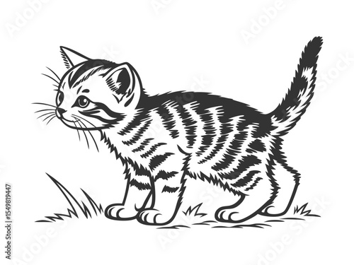 Small tabby kitten vector illustration. Cat for vinyl cutting and printing. Lovely pets