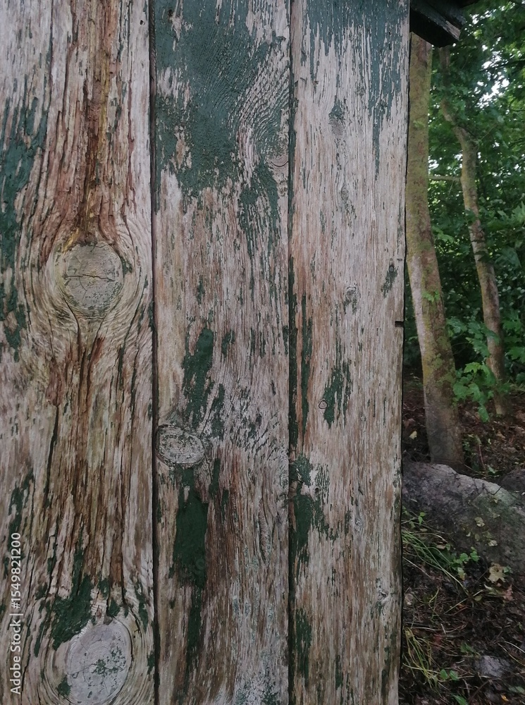 Fototapeta premium old green plank wall with forest edge view