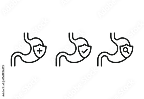 Stomach health icons with shield plus check and magnifying glass