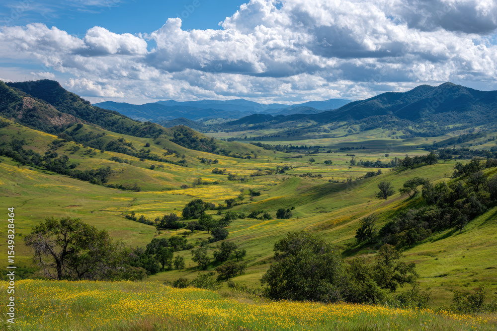 Obraz premium Vibrant wildflowers on rolling green hills under blue skies