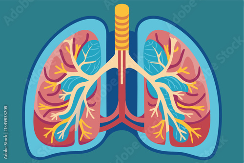 Illustration of human lungs showcasing bronchi and alveoli with colorful anatomical details