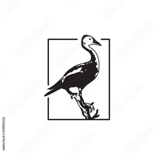vintage whistling duck and north star logo design