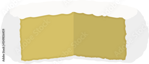 White brie cheese