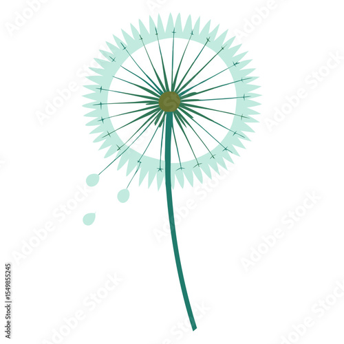 vector illustration of a dandelion