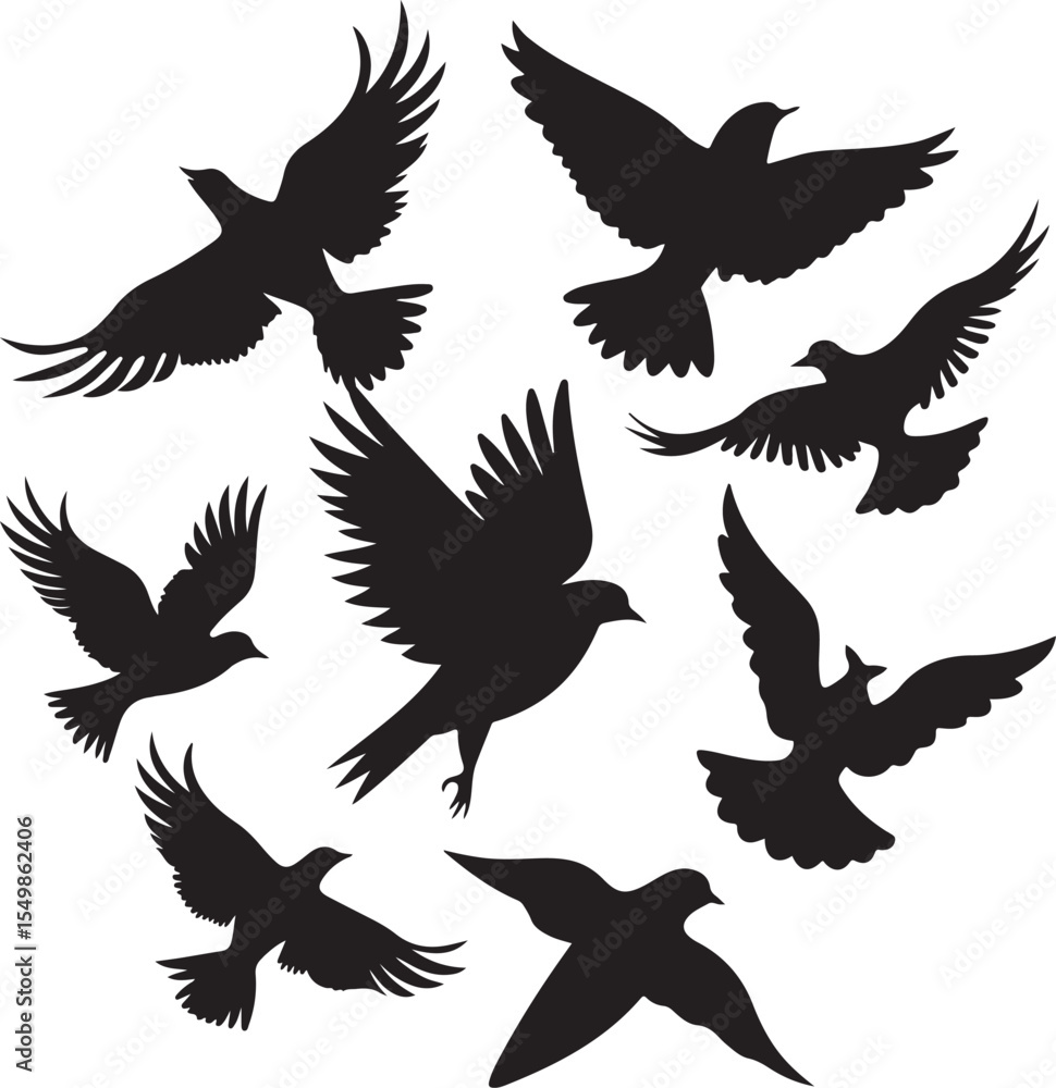 Fototapeta premium Flying Bird Silhouette Set – multiple birds in flight with varied wing positions.