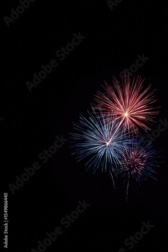 Wallpaper Mural fireworks exploding in minimalistic night sky capturing spirit of usa independence day Torontodigital.ca