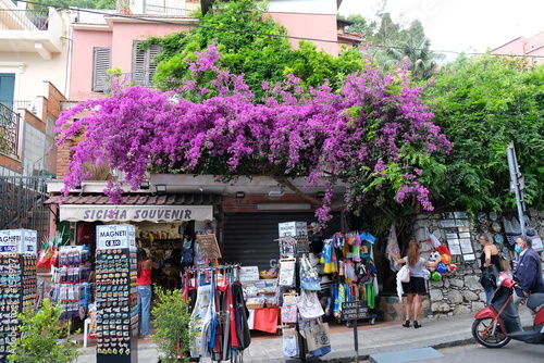 Fototapeta Naklejka Na Ścianę i Meble -  street in the city