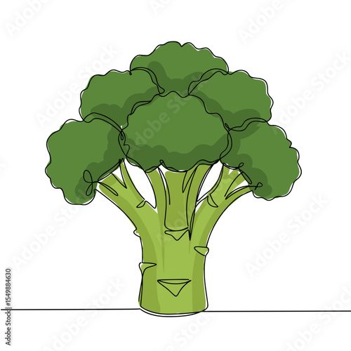 Fresh broccoli illustration on a white background  