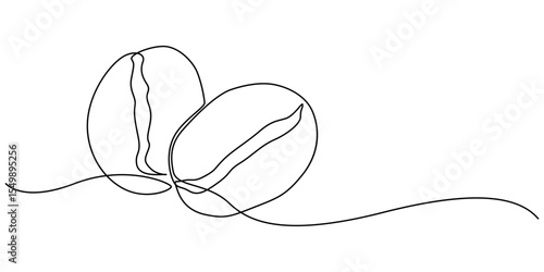 One continuous line drawing of a coffee bean. Vector illustration. Coffee bean icon, Coffee beans one line continuous. Coffee line art. Hand drawn vector art illustration, Coffee shop concept vector.