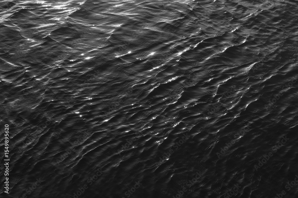 Obraz premium Camargue