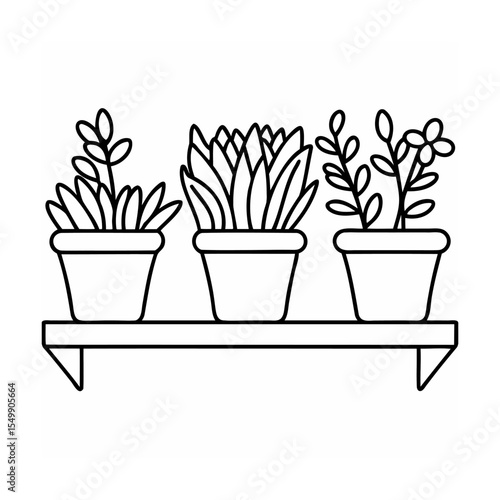Three potted plants on a shelf line art drawing black and white