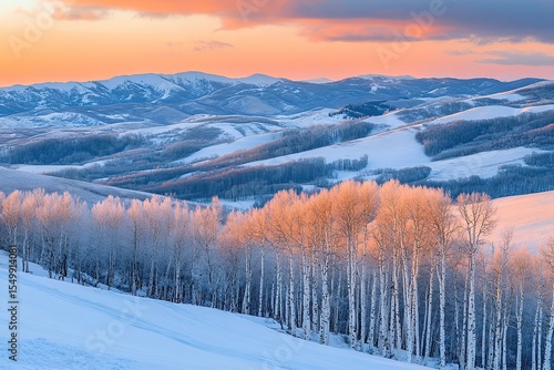 In the winter sunset, birch trees and snow-covered hills create an enchanting landscape.