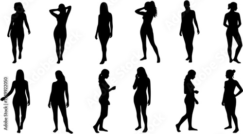 Nude woman silhouettes vector
