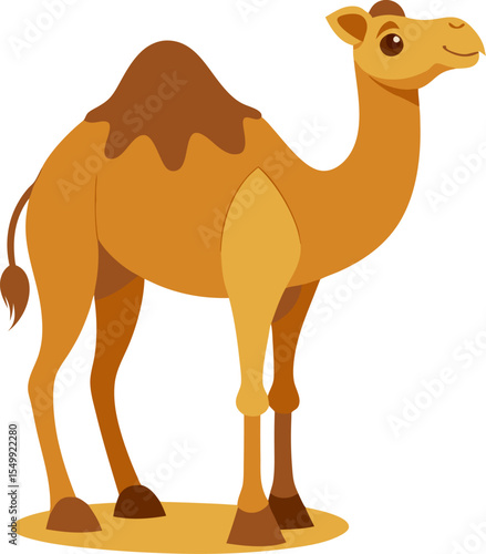 camel on the beach
