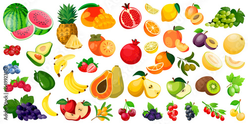 Fresh tropical fruits set. Vector berries illustration. Healthy vegan food, farming and harvest design elements