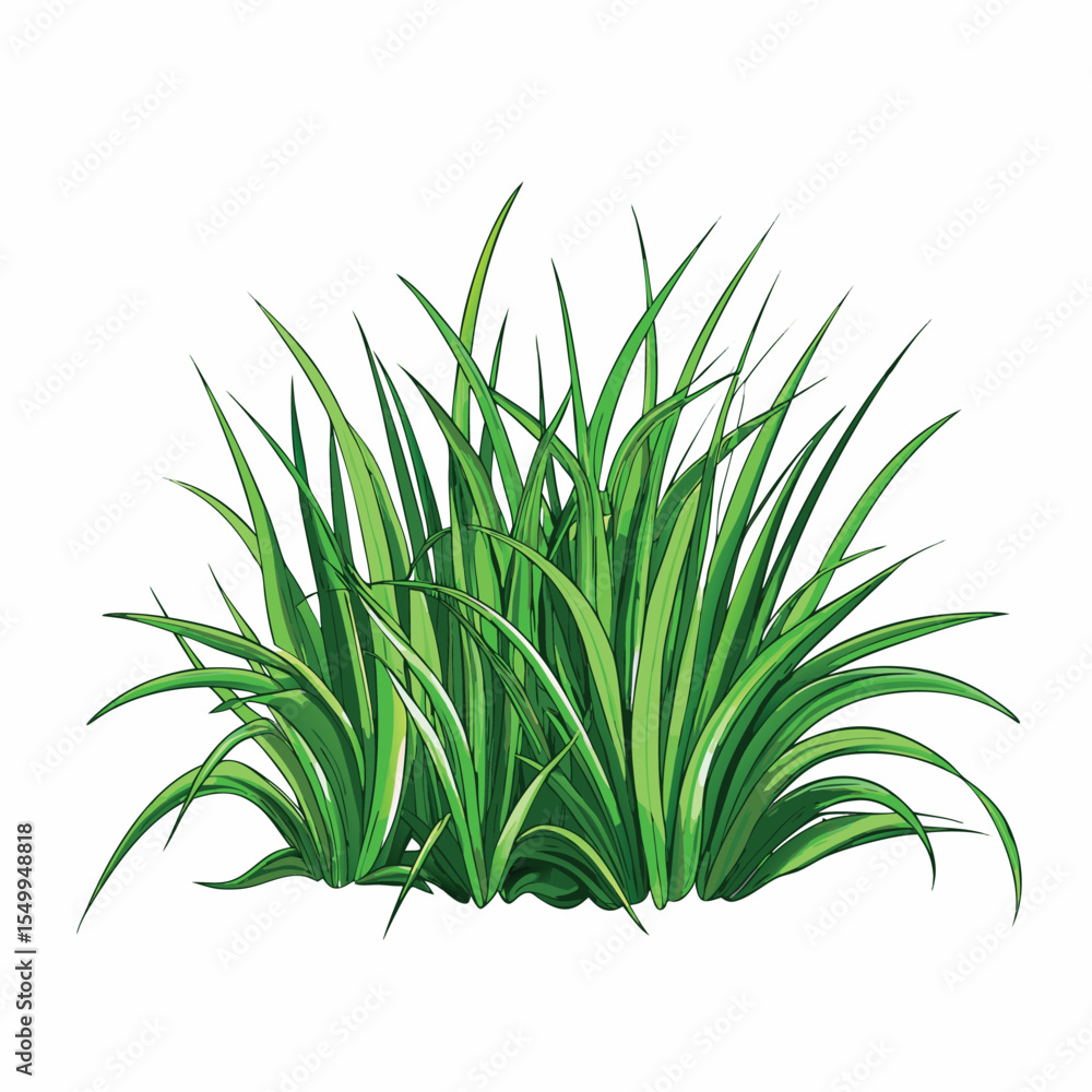 Fototapeta premium 3d grass flat vector illustration grass 