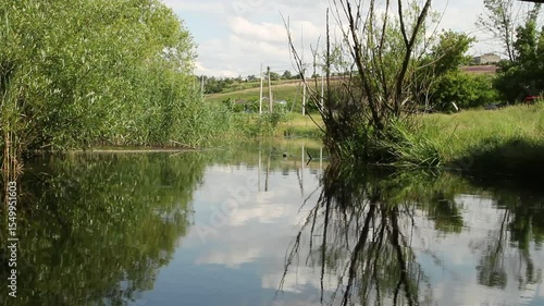 A pond with trees and grass