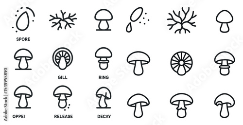 Mushroom and fungi line icons set – outline, spore, mycology symbols for nature projects