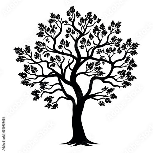 elm silhouette vector illustration elm silhouette