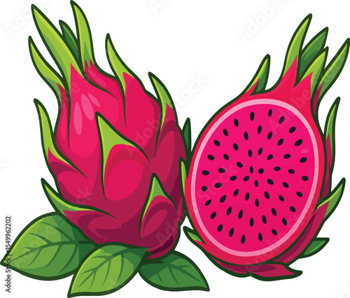Vibrant Pink Dragon Fruit Cut Open – Healthy and Nutritious Superfood