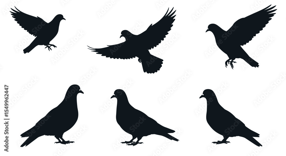 Obraz premium Flying bird silhouettes collection vector illustration