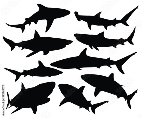 Underwater, ocean, sea animal swimming silhouetted. Various poses Sharks. Different view of silky sharks. Hammerhead Shark Silhouette Isolated Vector. A set of dangerous shark illustrations.